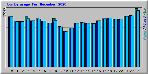 Hourly usage for December 2020