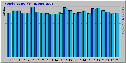 Hourly usage for August 2024