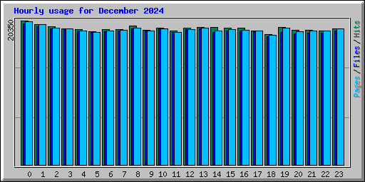 Hourly usage for December 2024