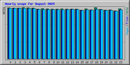 Hourly usage for August 2025