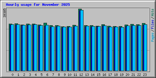 Hourly usage for November 2025